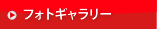 フォトギャラリー